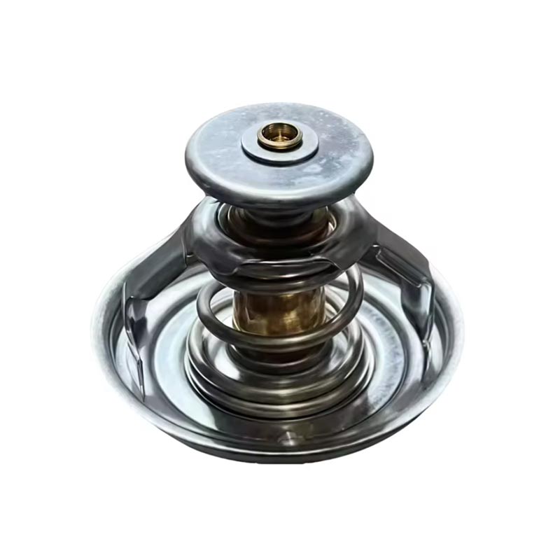 Vrachtwagenmotorthermostaat 1000837830